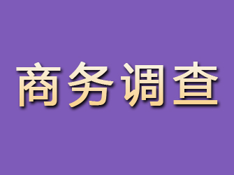 江永商务调查